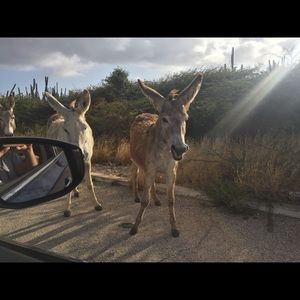 Meet your Posher, Gary